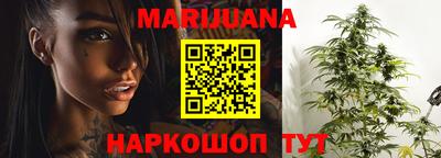 прущие грибы Нальчик