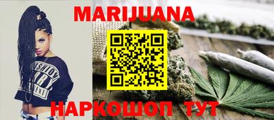 прущие грибы Нальчик