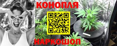 прущие грибы Наро-Фоминск