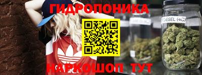 прущие грибы Нальчик