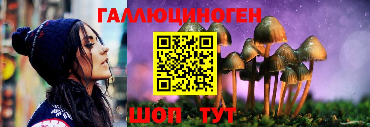 Псилоцибиновые грибы Magic Shrooms  Вход с VPN  Хабаровск 
